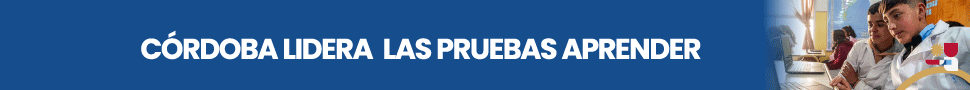 Publicidades